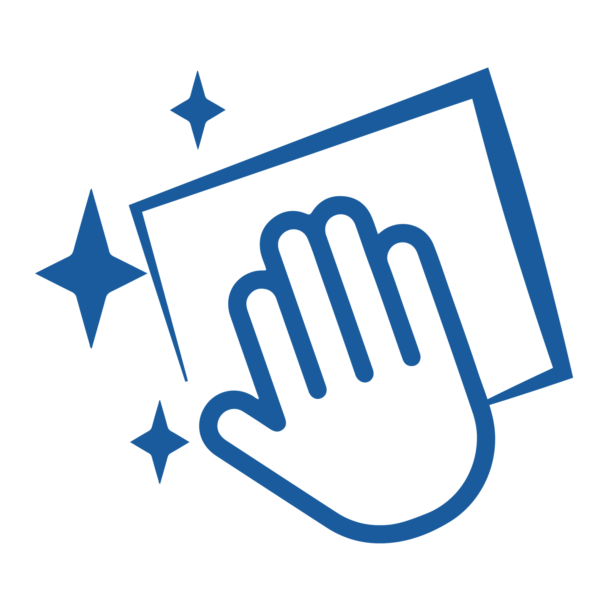 Imagen para la categoría PAÑOS DE LIMPIEZA